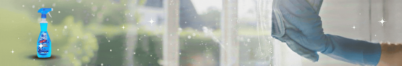 Glass And House Hold Cleaner